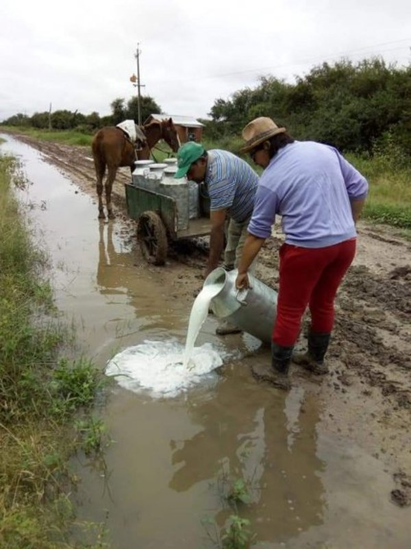 Derraman más 10.000 litros de leche por falta de camino - Nacionales - ABC Color