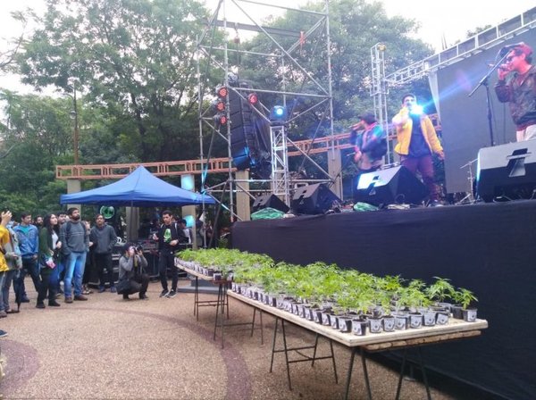 Senad rechaza entrega gratuita de plantas de cannabis hecha por Mamá Cultiva » Ñanduti