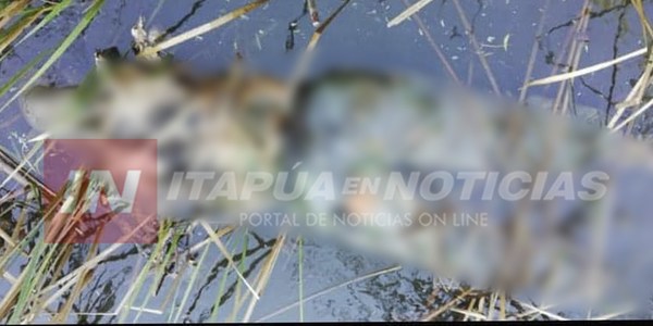 HALLAN CADÁVER DE MARINERO ITAPUENSE DESAPARECIDO EN EL RÍO PARAGUAY