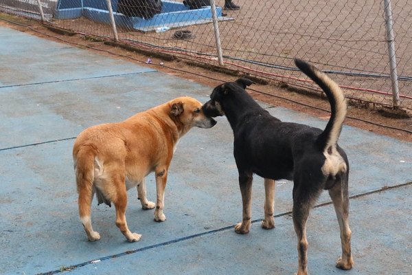 TESAPARA ENCONTRÓ EL AMOR