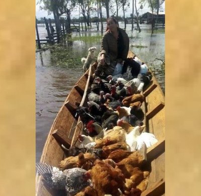 Doña salvó a sus animalitos en una canoa