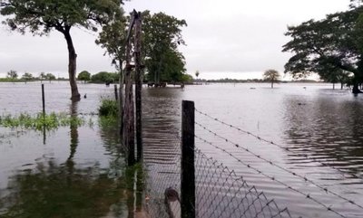 Ante inundación, buscan campos vacíos para trasladar al ganado - Edicion Impresa - ABC Color
