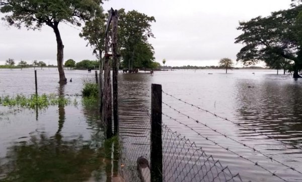 Ante inundación, buscan campos vacíos para trasladar al ganado - Edicion Impresa - ABC Color