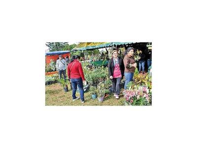 Feria de flores para  mamá en Caacupé
