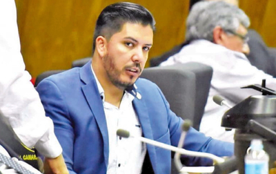 Diputado Portillo sería el siguiente | Diario Vanguardia 07