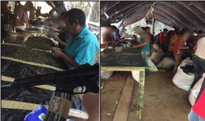 Buscan identificar a la comunidad de donde secuestraban niños para procesar marihuana - Radio 1000 AM