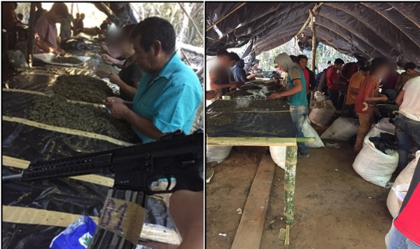 Buscan identificar a la comunidad de donde secuestraban niños para procesar marihuana - Radio 1000 AM