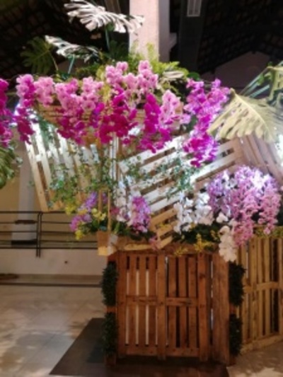 Realizarán subasta de orquídeas a beneficio de “Amor en cada gota” - ADN Paraguayo
