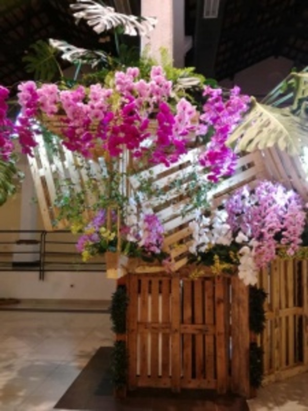 Realizarán subasta de orquídeas a beneficio de “Amor en cada gota” - ADN Paraguayo