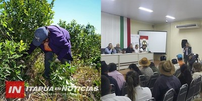 A PESAR DE LA INESTABILIDAD CLIMÁTICA, CONTINÚA EL CENSO YERBATERO.