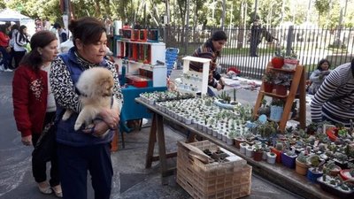 Feria de artesanía y gastronomía en el centro de Asunción - Fotos - ABC Color