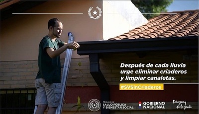 Clima favorece reproducción de Aedes aegypti