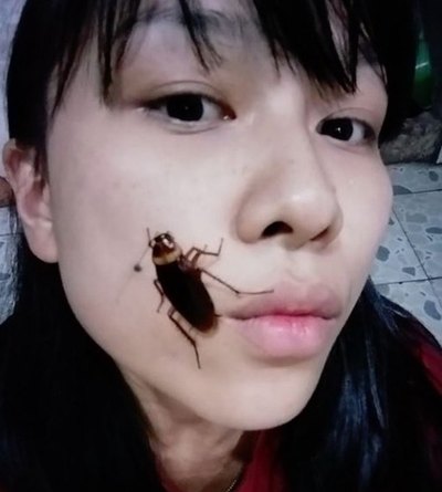 Selfies con cucarachas: nuevo desafío en redes