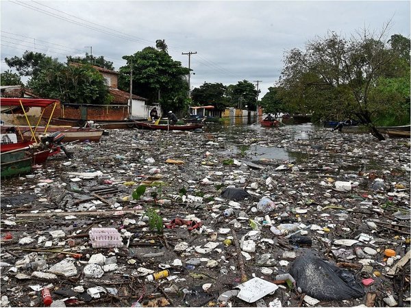 Proponen fotomultas en norma de Basura Cero para sanción efectiva