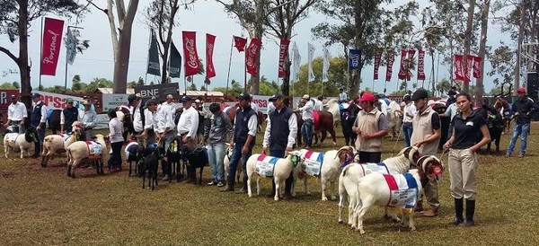 Hoy arranca la Expo Misiones - Digital Misiones