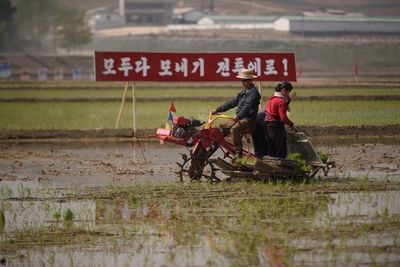 Sequía “extrema” en Corea del Norte, riesgo de hambruna