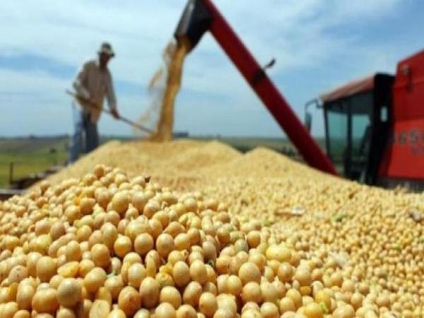 Caída del precio internacional de la soja preocupa a productores