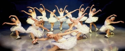 HOY / Entre ballet clásico y patinaje artístico, llega a Paraguay “El Lago de los cisnes sobre hielo”