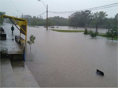 Ganaderos de Guazú Cuá, afectados por las inundaciones