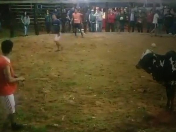 Con un toro dentro de la cancha jugaron el torneo