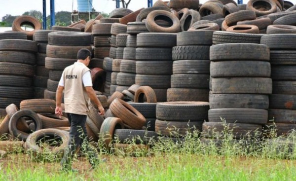 Pará-na los criaderos: trabajos de rastrillaje y fumigación de hoy