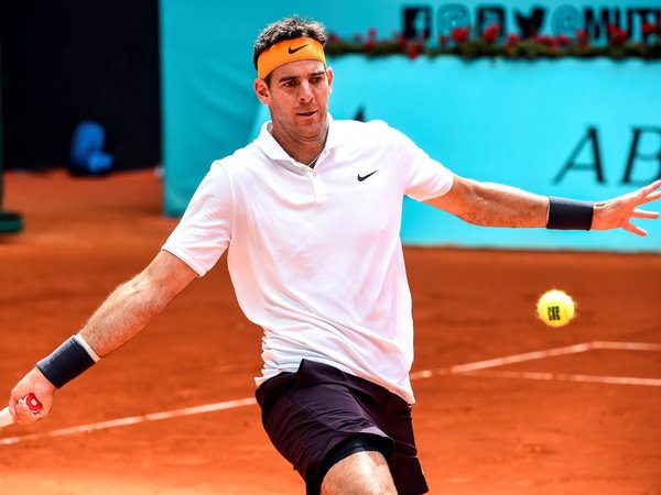 Del Potro se venga de Goffin