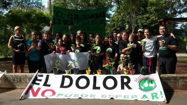 Mamá Cultiva: No somos narcos, somos madres que cultivamos para nuestros hijos » Ñanduti