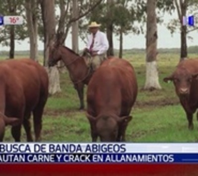 Abigeos aprovechan crecida para robar cabezas de ganado en el Chaco - Paraguay.com