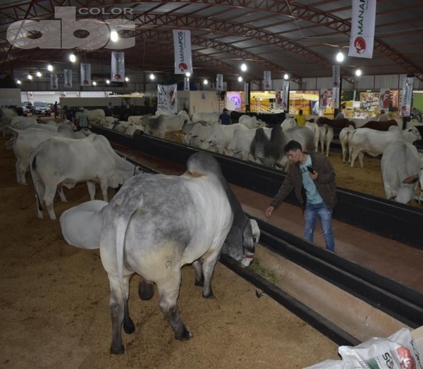 Ganadería pide espacio en Santa Rita - Juacir Repossi (*) - Edicion Impresa - ABC Color