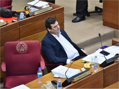 Rechazan pérdida de investidura de Salyn Buzarquis