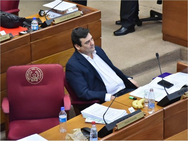 Rechazan pérdida de investidura de Salyn Buzarquis