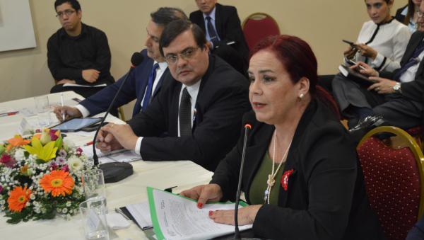 La SFP presentó los avances de la Subcomisión de Función Pública en la primera sesión de la CONADIS