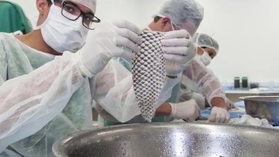 Trans recibe implante de vagina de pira pire