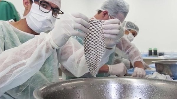 Trans recibe implante de vagina de pira pire