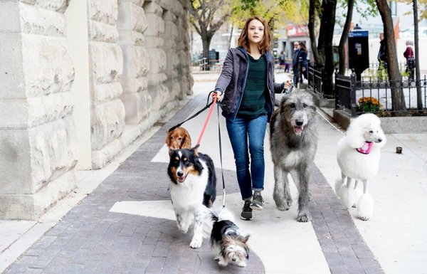 Filme presenta un nuevo viaje perruno - Edicion Impresa - ABC Color