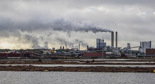 Uruguay avanza negociación para instalar tercera planta de celulosa en medio de protestas | .::Agencia IP::.