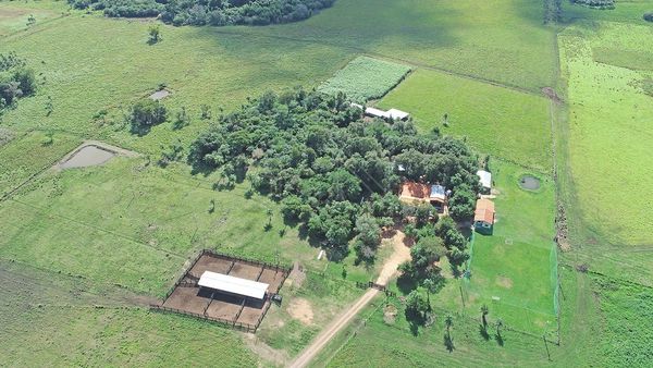 Diputado utilizó a sus hijos para esconder parte de su patrimonio
