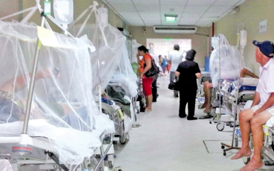 Taiwán avanza en producción de vacuna contra serotipos de dengue | Diario Vanguardia 07