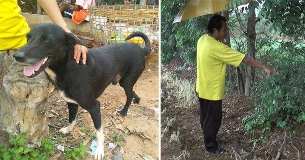 Un bebé fue enterrado vivo por su madre y un perro lo encontró y lo salvó » Ñanduti
