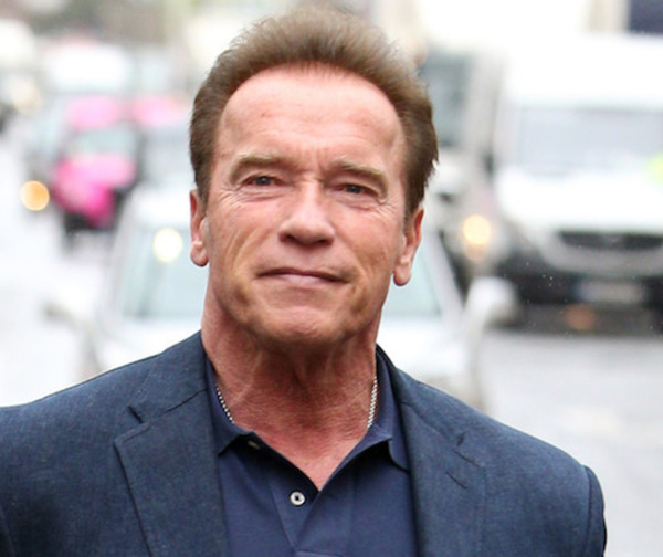 Golpean a Arnold Schwarzenegger durante evento en Sudáfrica