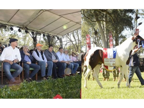 Se inauguró oficialmente la "Expo Misiones 2019" - Digital Misiones