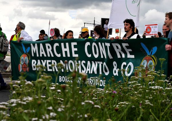 Manifestaciones contra el uso de agroquímicos