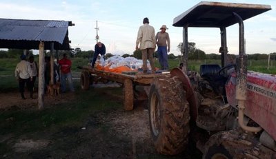 El precio de la galleta llegó a G. 15.000/kg - Edicion Impresa - ABC Color