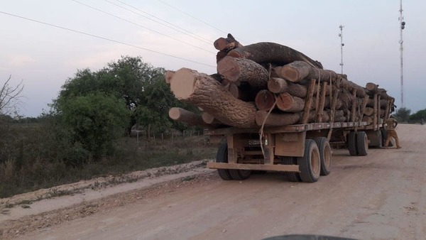 Pasará 6 años en la cárcel por tráfico de rollos de madera - ADN Paraguayo