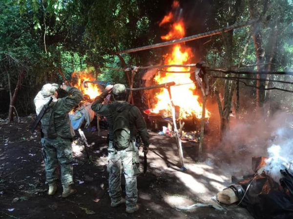 Eliminan casi 700 kilos de marihuana - Radio 1000 AM