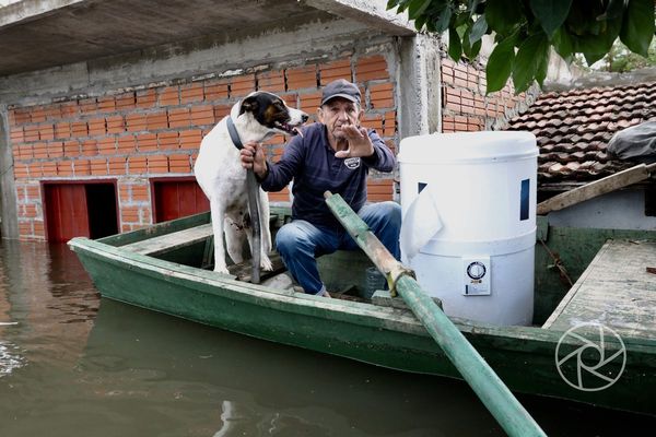 Brindan asistencia a mascotas desplazadas por las aguas