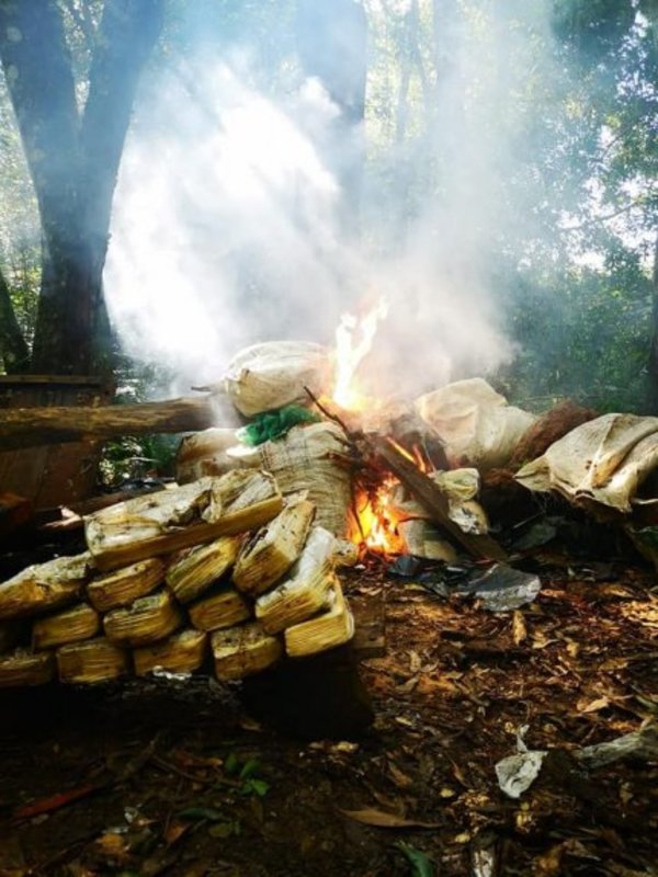 Caaguazú: desmantelan campamento narco - Nacionales - ABC Color