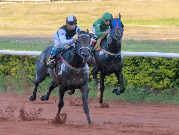 Otro domingo sin turf en el Hipódromo de Tembetary