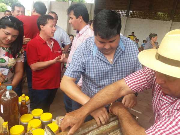 Unos 7.078 niños recibirán en su dieta diaria la miel de abeja - ADN Paraguayo