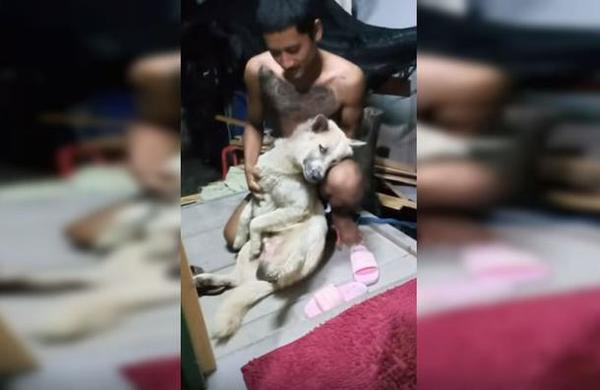 Perrito se hace el muerto para que no lo bañen - C9N